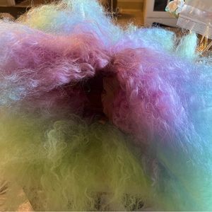 Rainbow Wig for Adult or kids